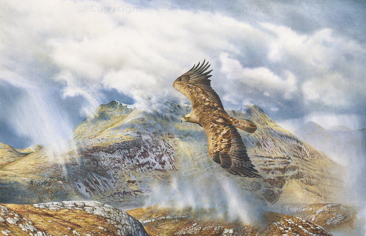 Aigle royal sur les oiseaux d’Arnisdale Peintures à l'huile